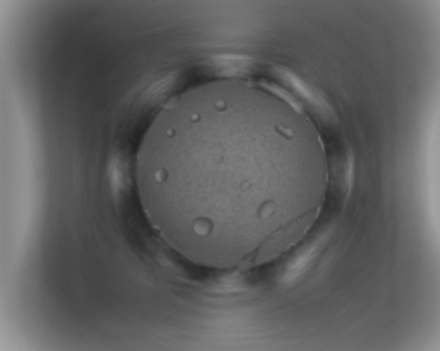 X0000113540325200909250931