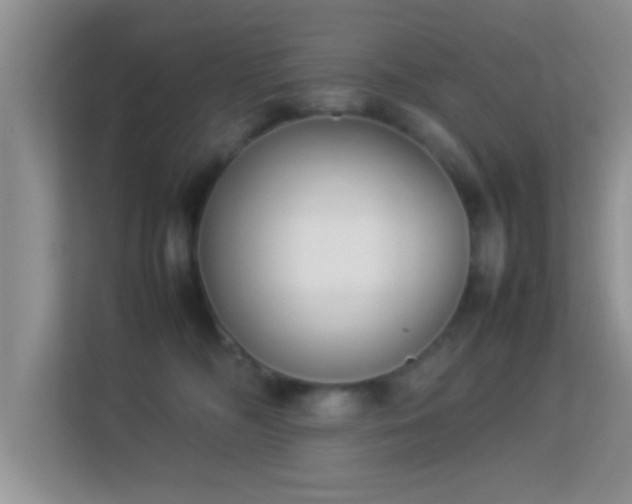 X0000113540326200909250931