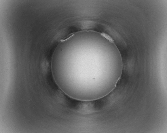 X0000113540327200909250931