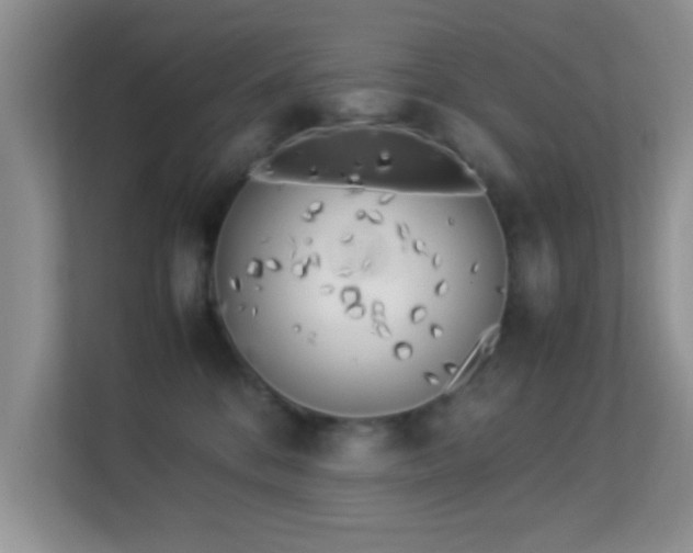 X0000113540328200909250931