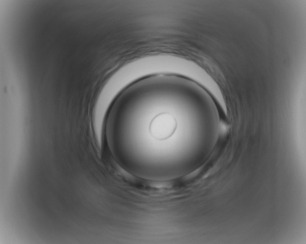 X0000113540329200909250931