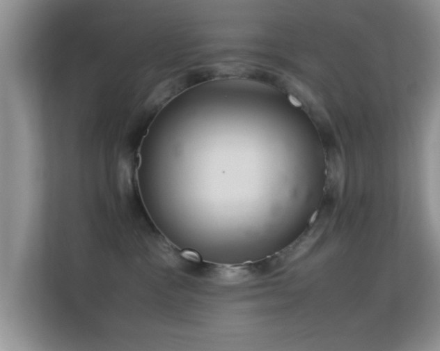 X0000113540333200909250931