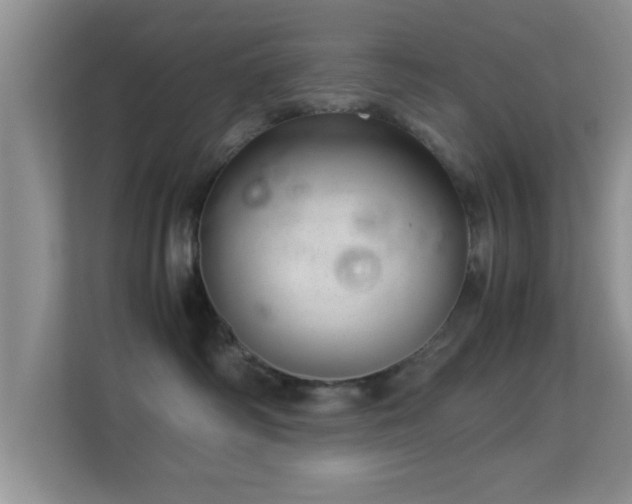 X0000113540334200909250931