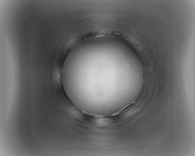 X0000113540336200909250931