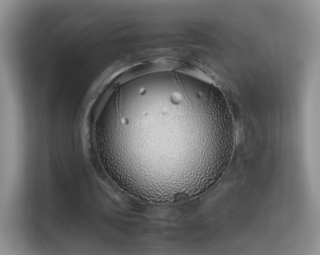 X0000113540339200909250931