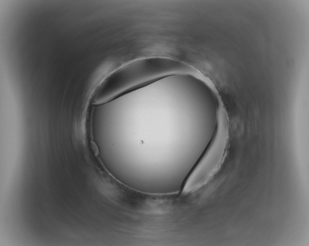 X0000113540340200909250931