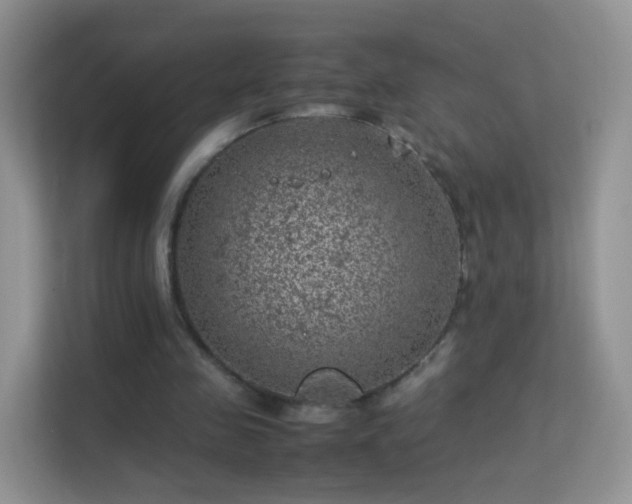 X0000113540341200909250931