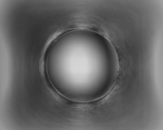 X0000113540342200909250931