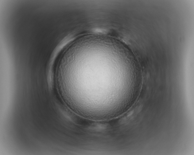 X0000113540343200909250931