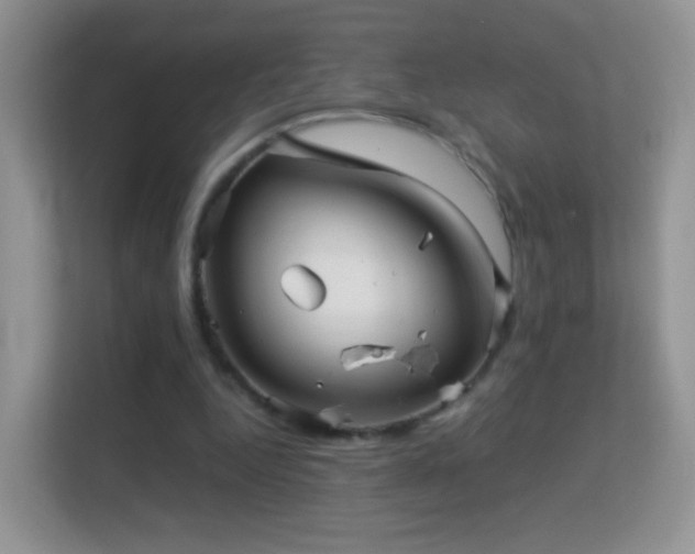 X0000113540344200909250931