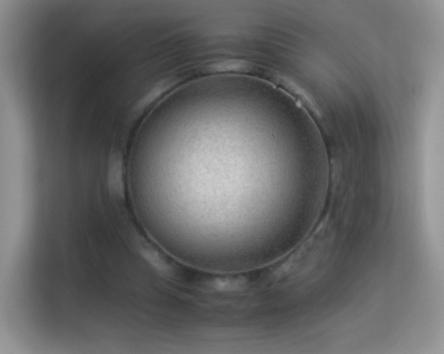 X0000113540345200909250931