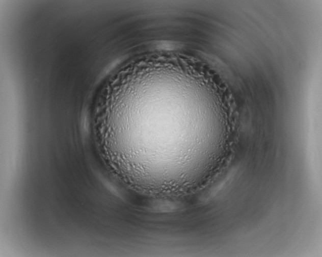 X0000113540347200909250931