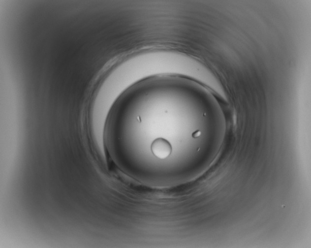 X0000113540348200909250931