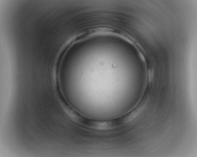 X0000113540349200909250931