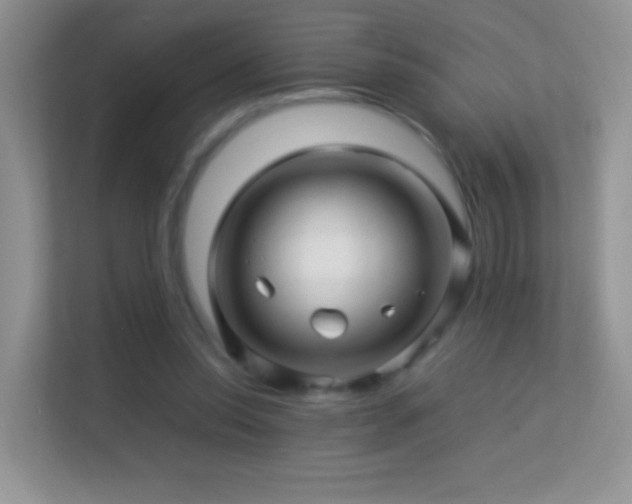 X0000113540350200909250931