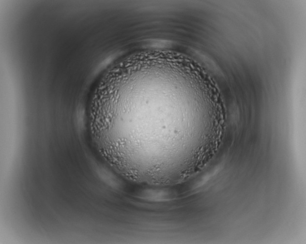 X0000113540351200909250931