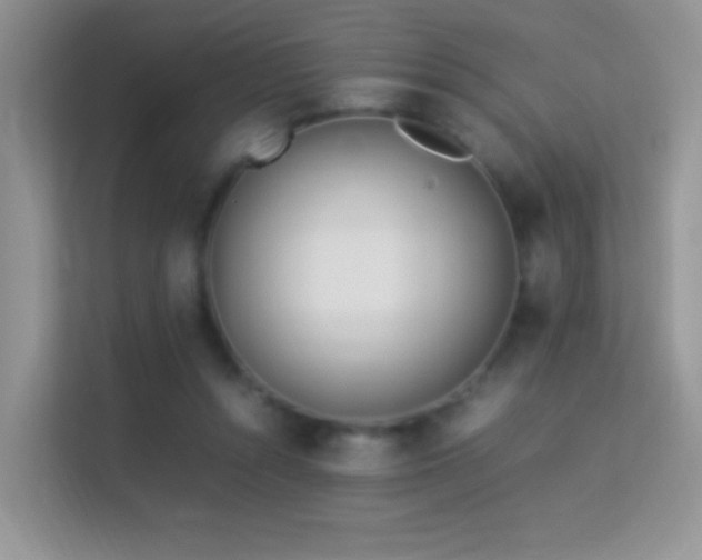 X0000113540352200909250931