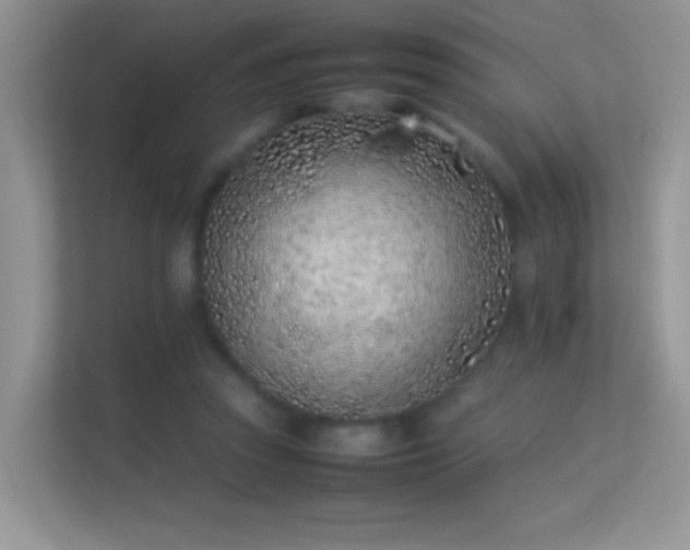 X0000113540353200909250931