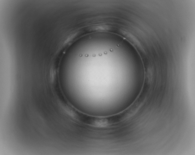 X0000113540355200909250931