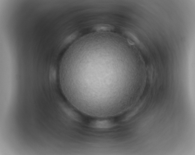 X0000113540357200909250931