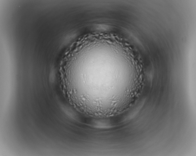 X0000113540359200909250931