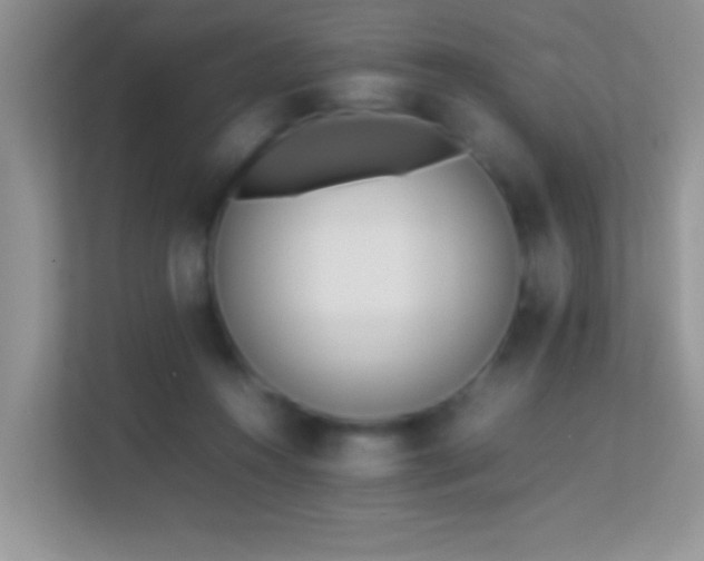 X0000113540360200909250931