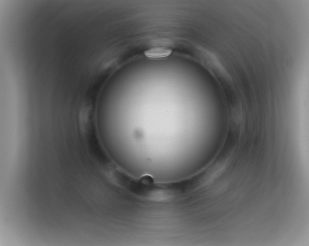 X0000113540364200909250931