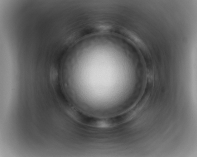 X0000113540365200909250931