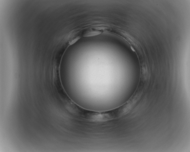 X0000113540379200909250931