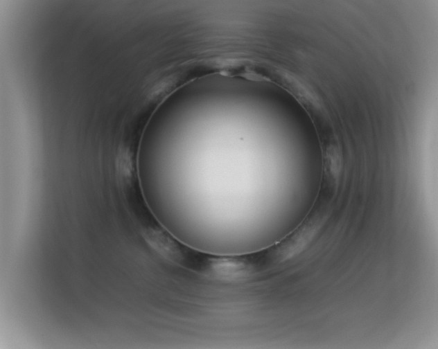 X0000113540380200909250931