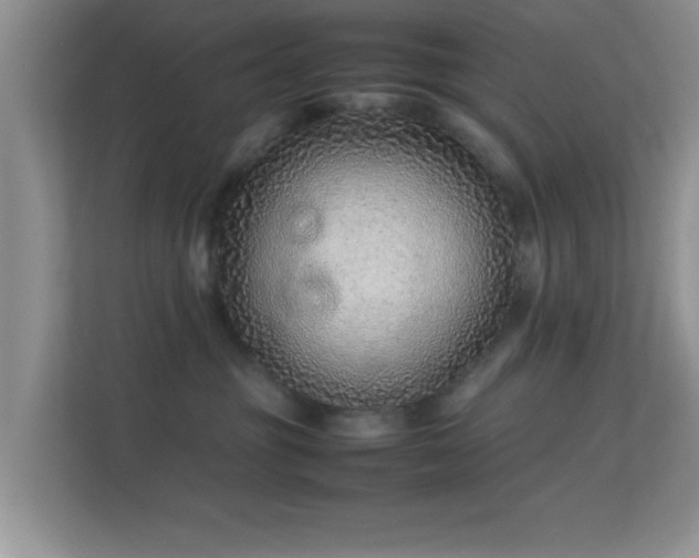 X0000113540381200909250931