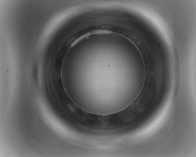 X0000113540382200909250931