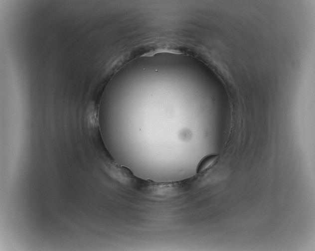 X0000113540384200909250931