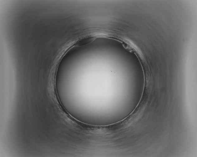 X0000113540385200909250931