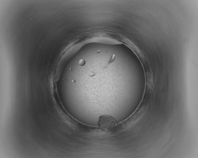 X0000113540386200909250931