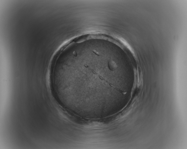 X0000113540387200909250931