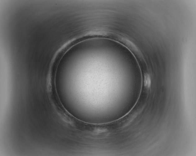 X0000113540388200909250931