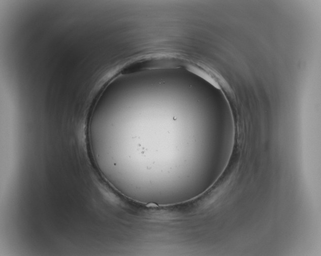 X0000113540389200909250931