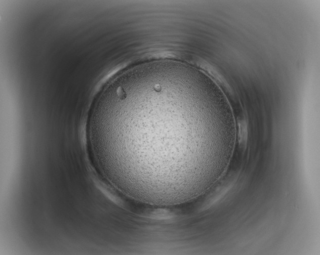 X0000113540390200909250931