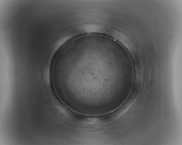 X0000113540391200909250931