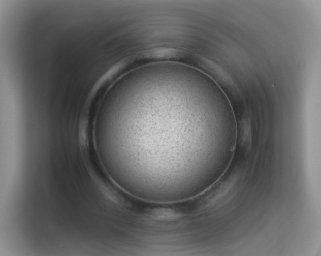 X0000113540392200909250931