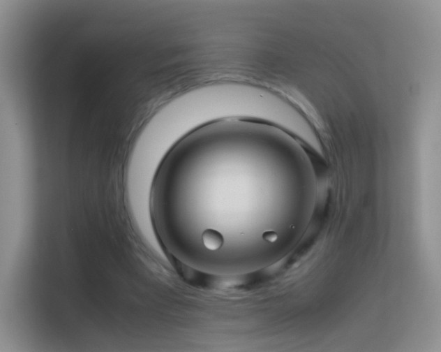 X0000113540393200909250930