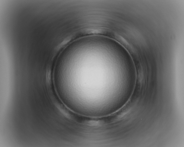 X0000113540394200909250930