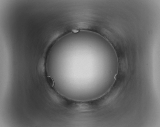 X0000113540395200909250930