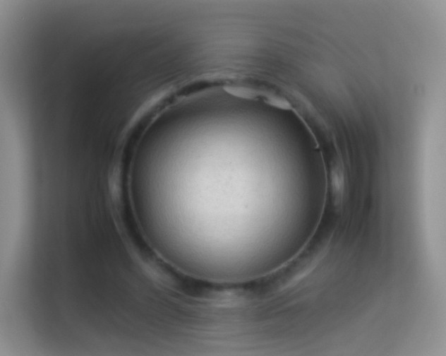 X0000113540396200909250930