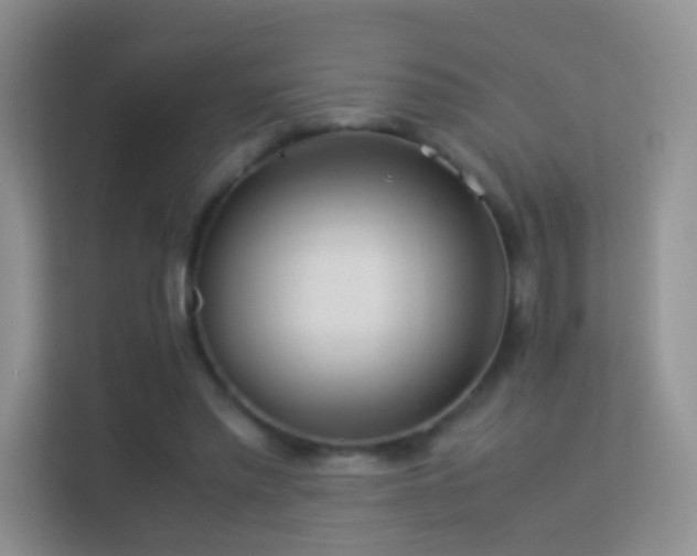 X0000113540397200909250930