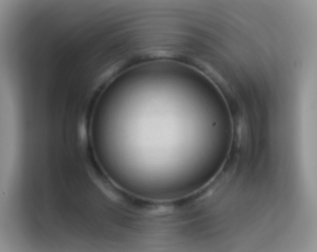 X0000113540398200909250930