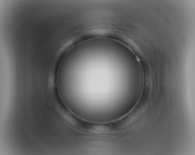 X0000113540399200909250930