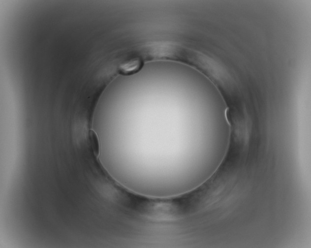 X0000113540401200909250930