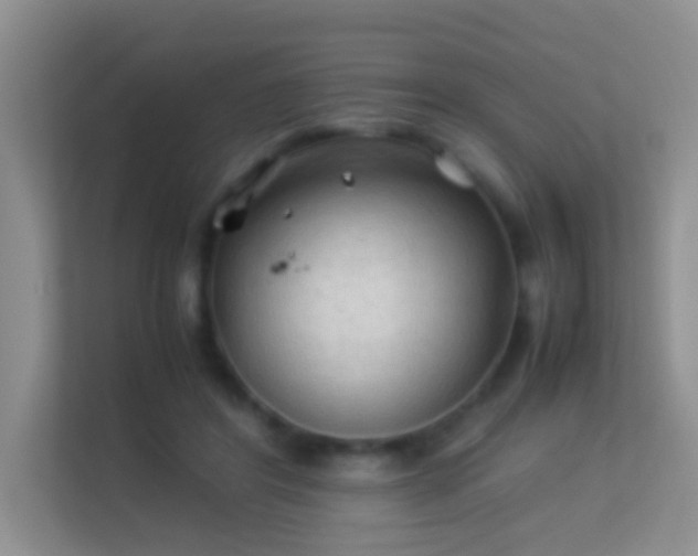 X0000113540404200909250930